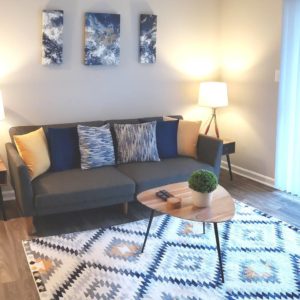 Airbnb Living Room with Couch and Accent Rug