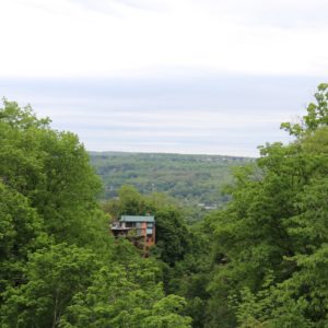 View House with Trees Around