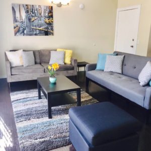 Airbnb Living Room with Couches, Pillows, Table, Flowers on Table, Carpet