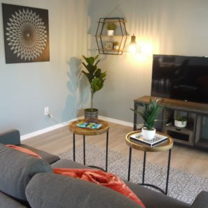 Airbnb Sofa and TV with 2 small Round Tables and Plants