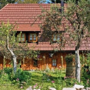 Airbnb Exterior House with slanted roof and trees