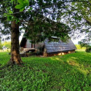 Airbnb Exterior View, Slanted roof, green grass, tree