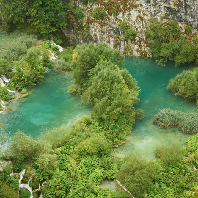 View of Lake with from above, with Trees and Mountains on right side