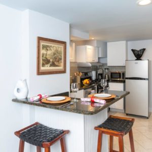 Chicago-Lincoln-Park-Airbnb-Option-7-Kitchen