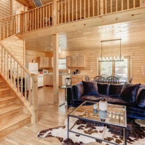 Shenandoah–National Park- Airbnb-Option-8-Living Room