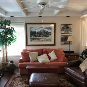 Sun-Valley-Idaho-Airbnb-Option-5-Living-Room