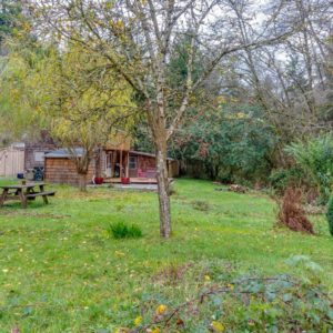 Redwood National Park–CA- Airbnb-Option-2-woods and outside