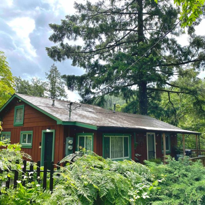 Redwood National Park–CA- Airbnb-Option-8-Outside view in forest