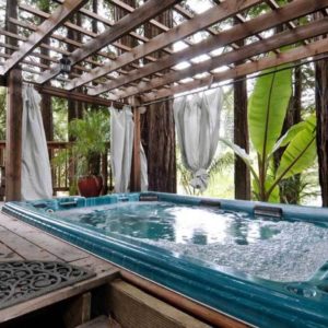 Sonoma County–CA- Airbnb-Option-6-Hot Tub with outdoor shower and minibar