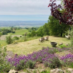 Sonoma County–CA- Airbnb-Option-2-Wineyard and parking lot