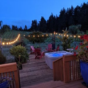 Sonoma County–CA- Airbnb-Option-3-Outdoor Wineyard