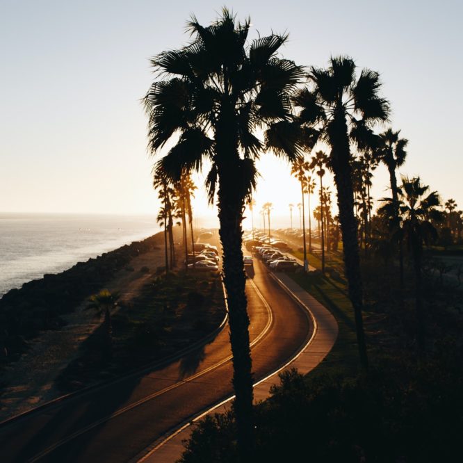 Airbnb San Diego Mission Beach - Palm tree boulevard