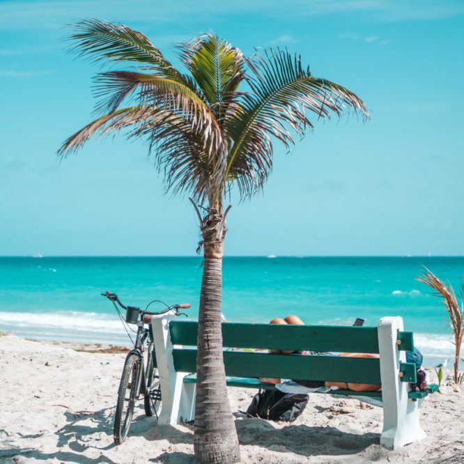 Airbnb grayton beach-Featured image-beach palm and bench with woman