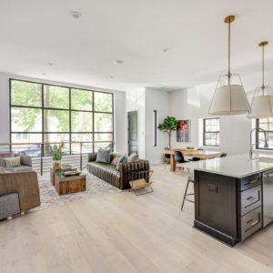 Airbnb logan square Chicago-option 2-Living Area
