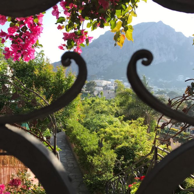 Capri View gate