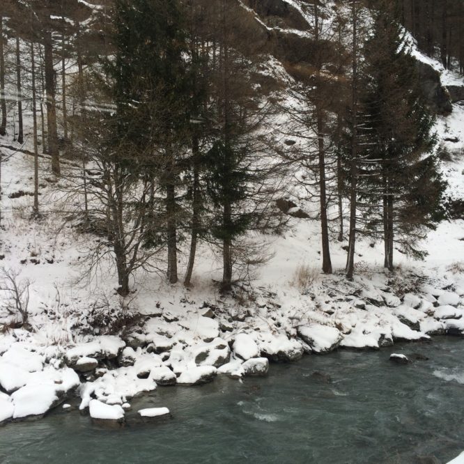 Day 4 Zermatt Train view 1