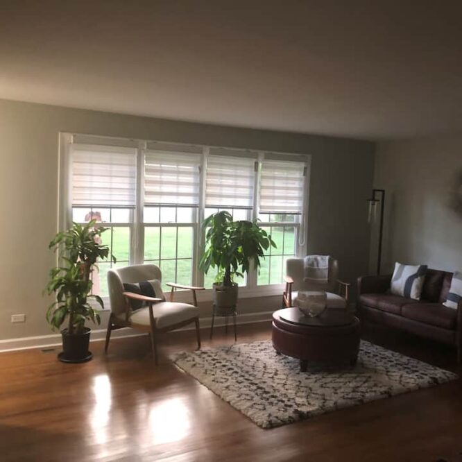 airbnb-chicago-suburbs-Option-5-Living-Room