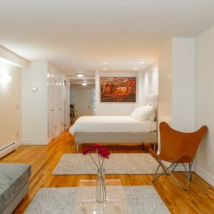 Airbnb-near-Barclays-Center-Option-2-Living-Room