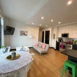 Airbnb-near-Madison-Square-Garden-Option-2-Living-Room